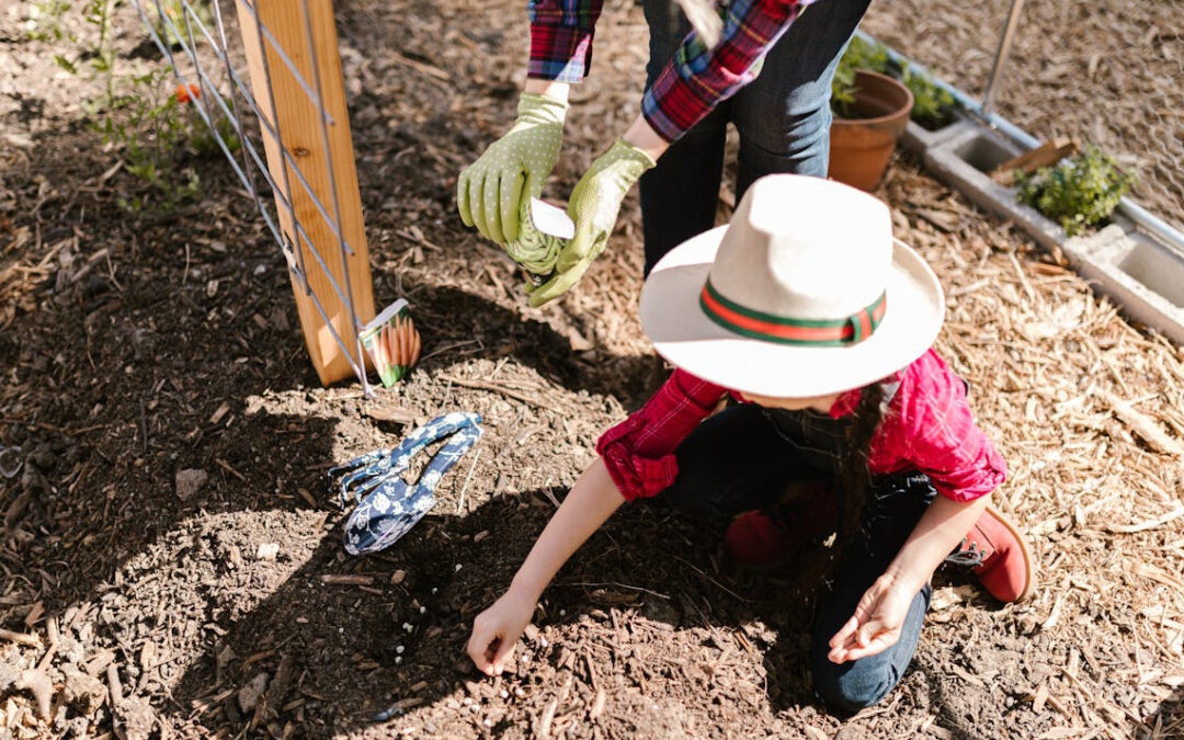 Plantando na Hortinha