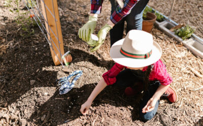 Plantando na Hortinha