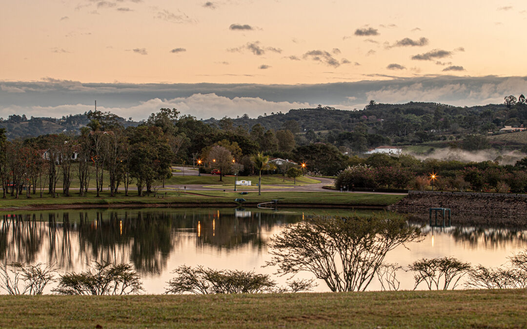 Em prol da proteção ambiental