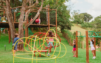 Confira a programação infantil da semana
