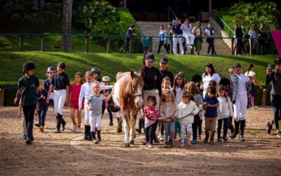 Recorde de participantes marca ranking julino