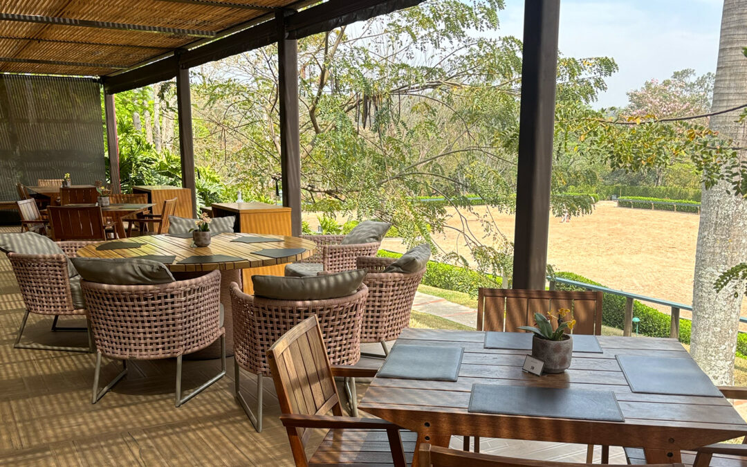 Clubes e restaurantes com horários especiais