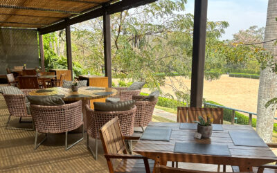 Clubes e restaurantes com horários especiais