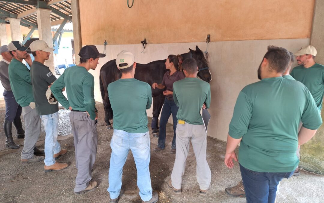 Tratadores recebem treinamento da Horse Guide
