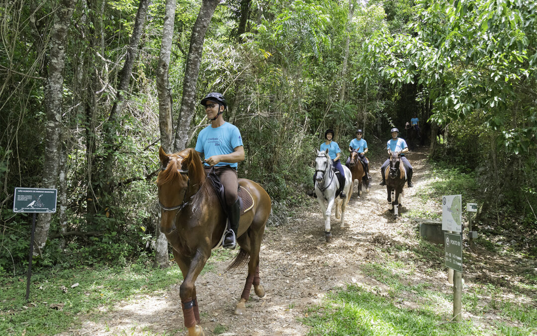 2ª Cavalgada Quinta da Baroneza