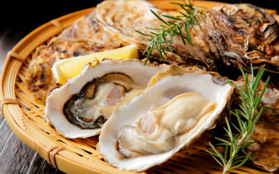 Oyster Bar na Baroneza