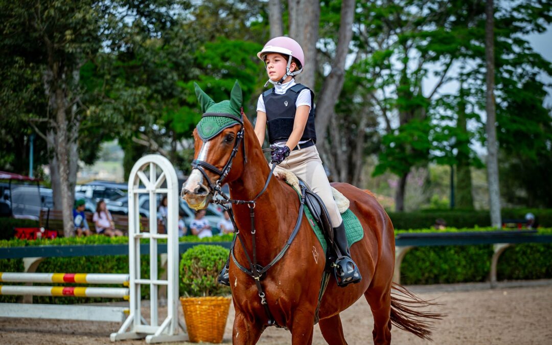 Cavalgando com segurança