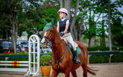 Cavalgando com segurança