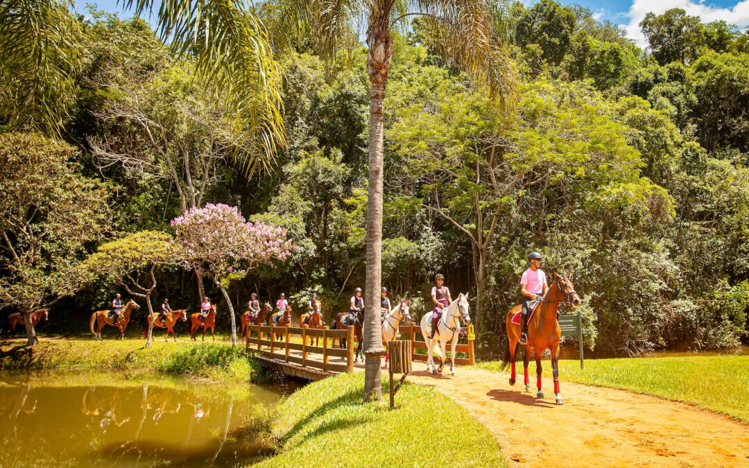 As fotos da 2ª Cavalgada Quinta da Baroneza