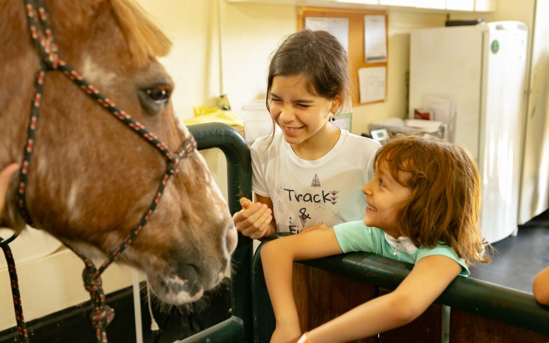 Em fotos: Vivência Equestre com a criançada