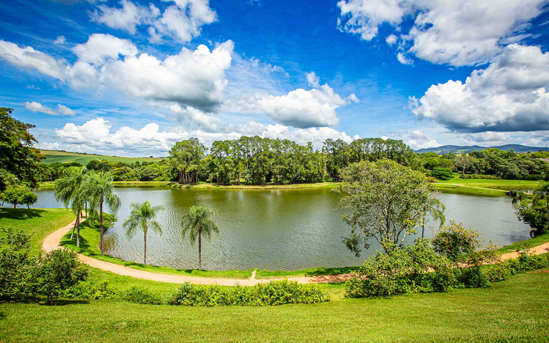 05/06 – Dia Mundial do Meio Ambiente
