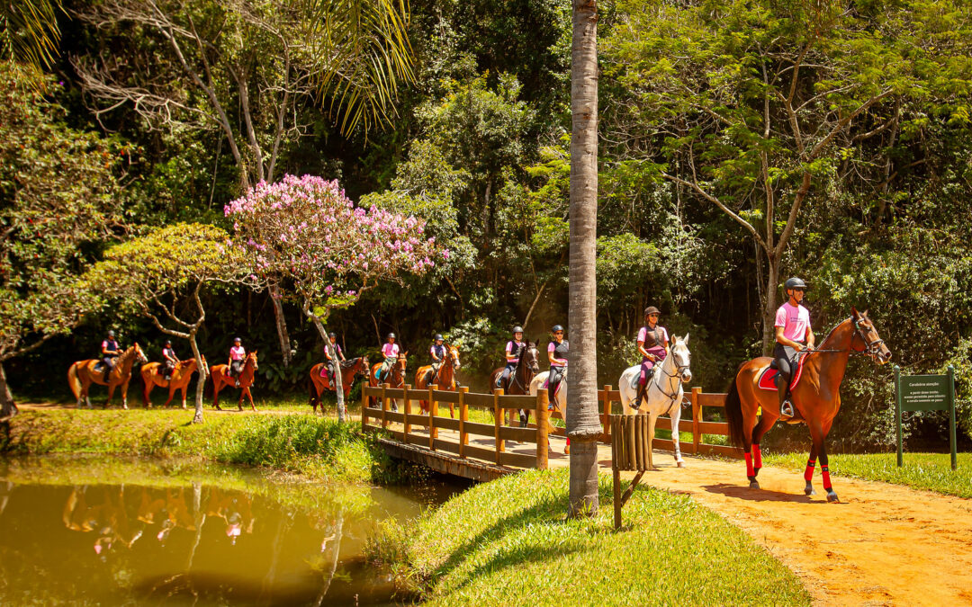 16ª Cavalgada Quinta da Baroneza
