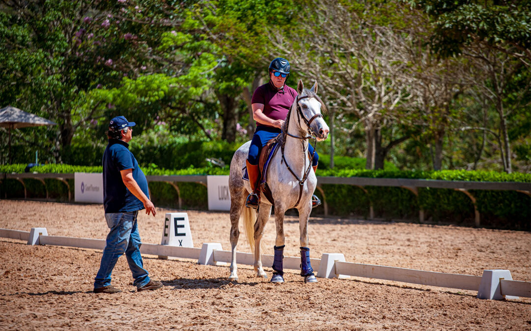 Confira as fotos da 2ª Clínica de Adestramento
