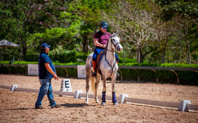 Confira as fotos da 2ª Clínica de Adestramento