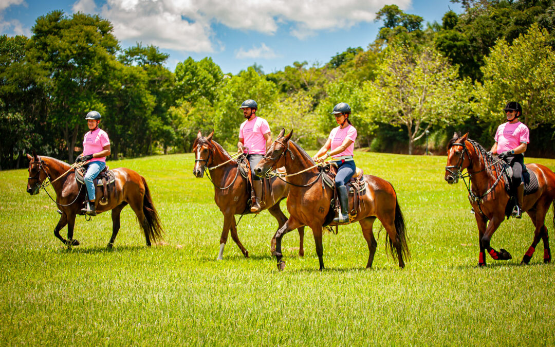 Participe da 16ª Cavalgada Quinta da Baroneza