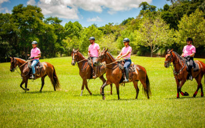 Participe da 16ª Cavalgada Quinta da Baroneza