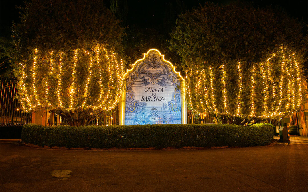 O brilho do Natal na Baroneza