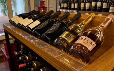 Grand Cru inaugura loja no Mall