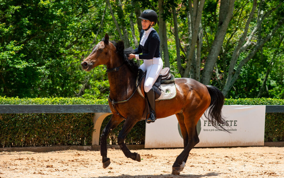 Aproveite as férias para explorar o hipismo