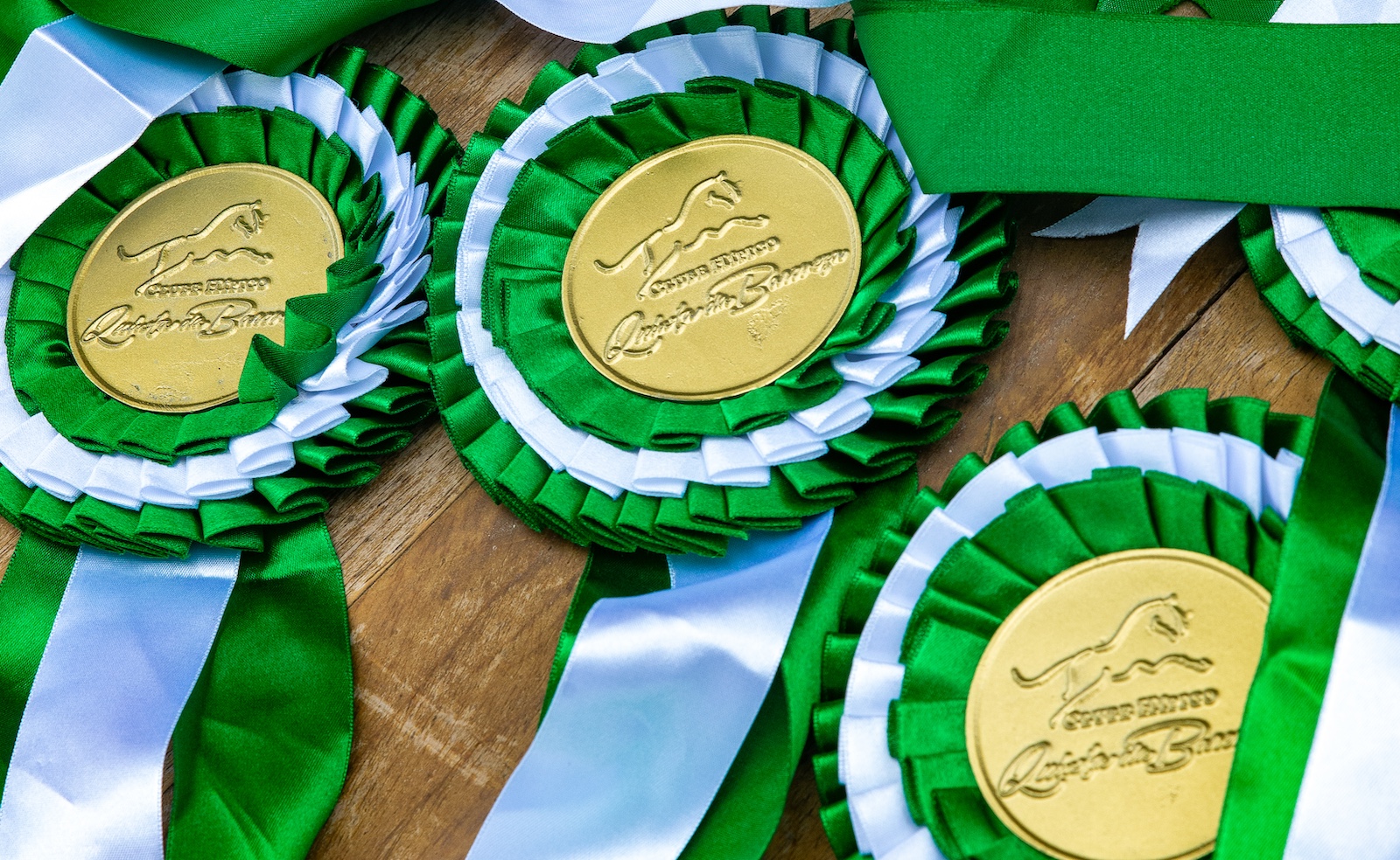 É neste sábado: premiação do Ranking de Hipismo 2025