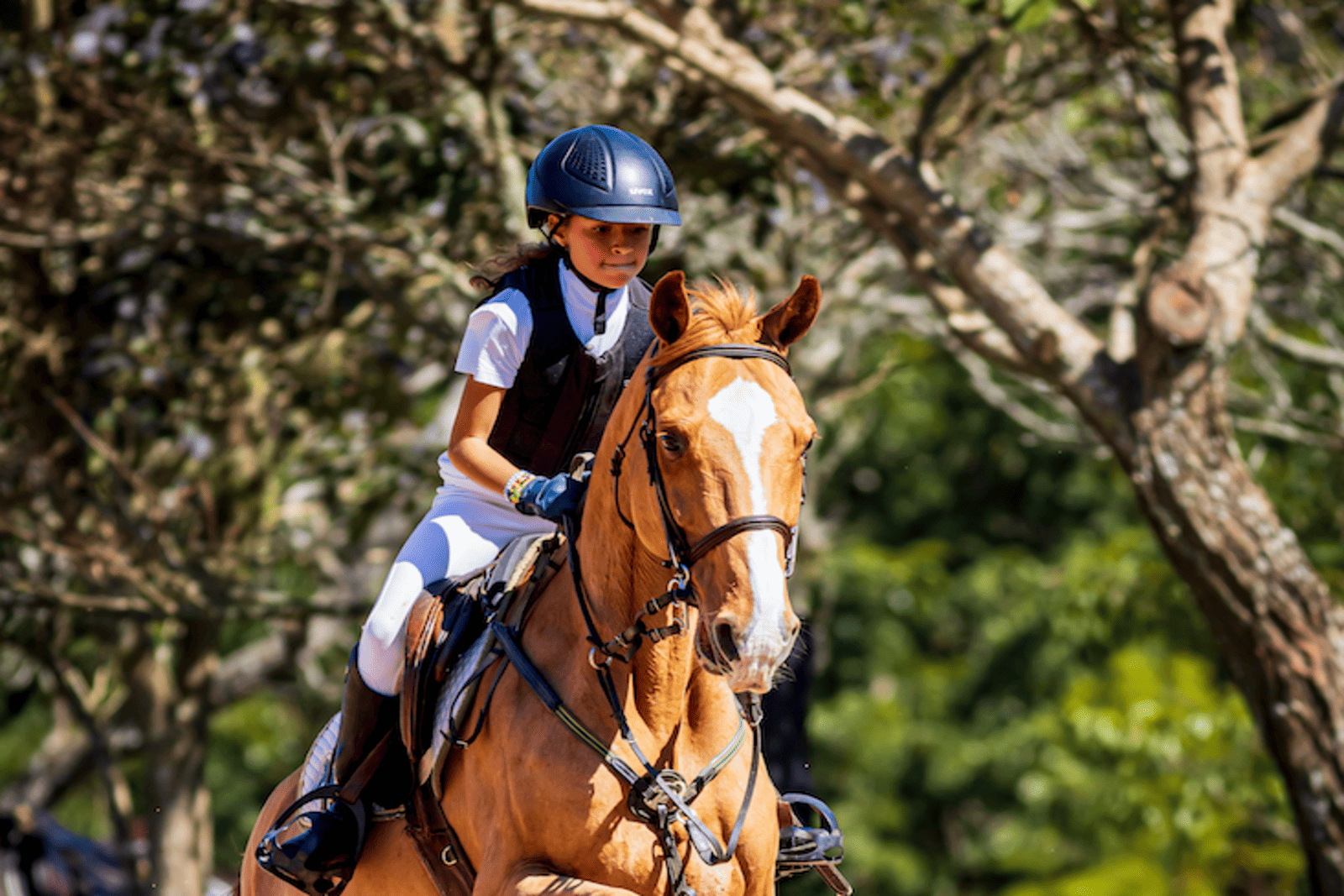 Programe-se: Premiação do Ranking de Hipismo 2025