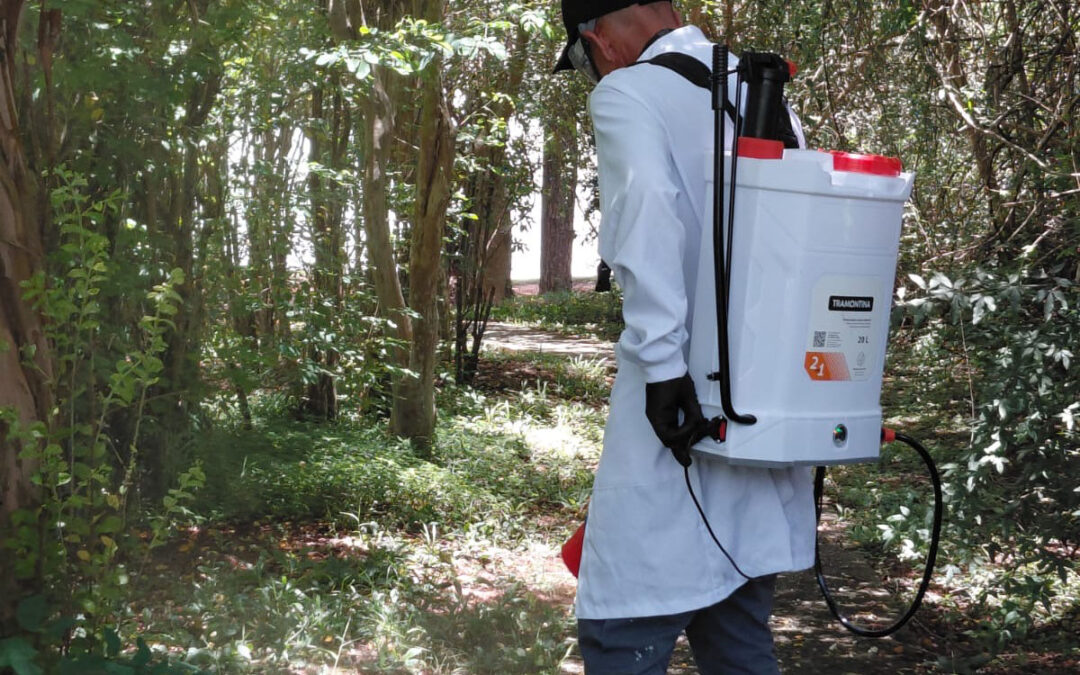 Veja as ações em andamento na prevenção à dengue