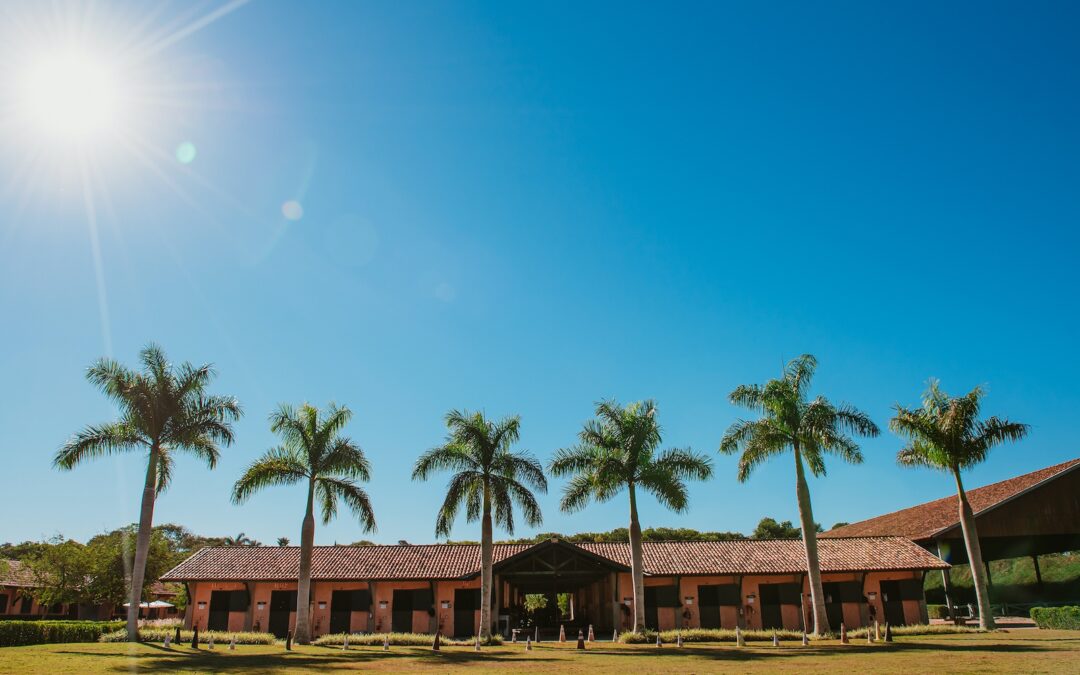Novos horários de atendimento da Vila Hípica