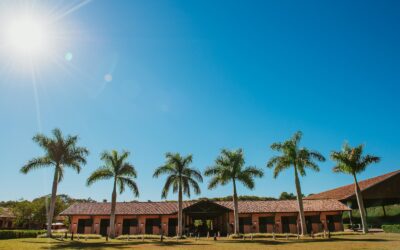 Novos horários de atendimento da Vila Hípica