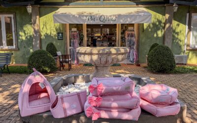 Inverno aconchegante com novidades no Pet da Quinta