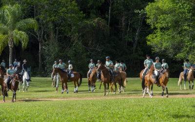 A 17ª Cavalgada Quinta da Baroneza está chegando