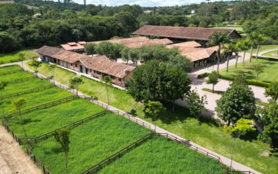 Vila Hípica inaugura novos piquetes